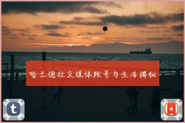 哈兰德社交媒体账号与生活揭秘