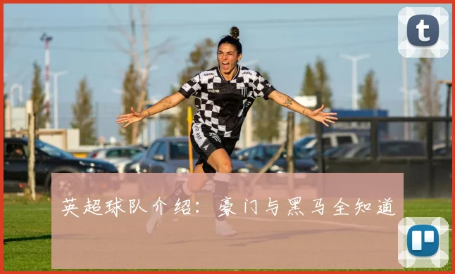 英超球队介绍:豪门与黑马全知道