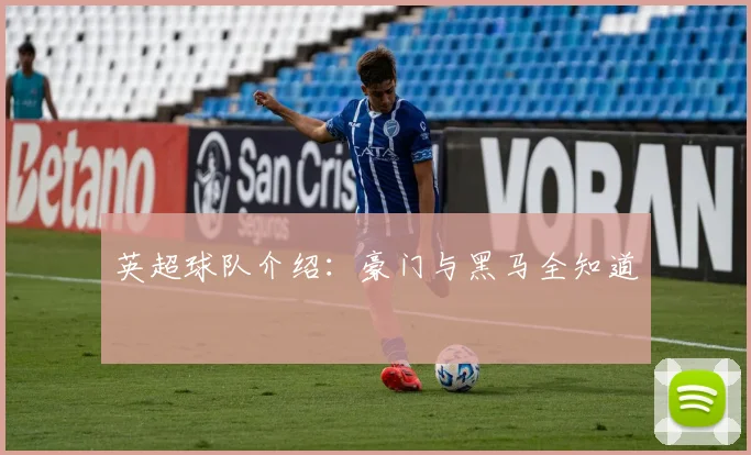 英超球队介绍：豪门与黑马全知道