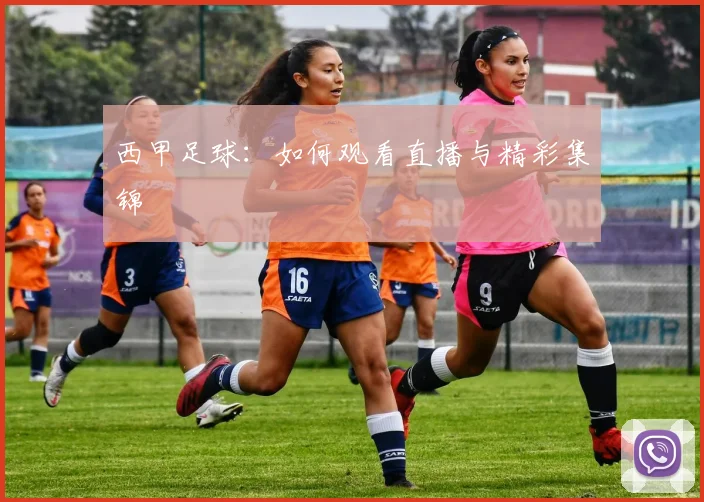 西甲足球：如何观看直播与精彩集锦